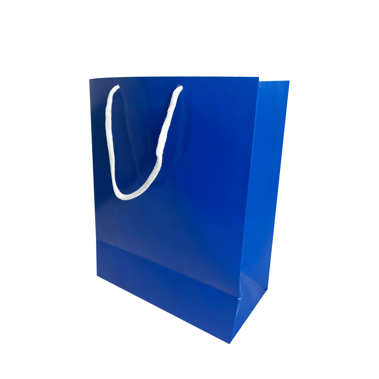 Sacola Papel Presente Azul (21 x 11 x 20,5 cm) - 10 unidades