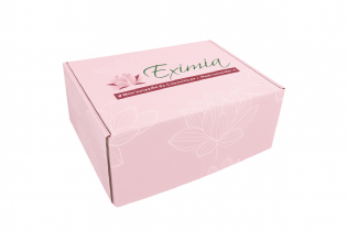 Caixa Correios / E-commerce 22 x 16 x 10cm Empastada (C x L x A) Personalizada