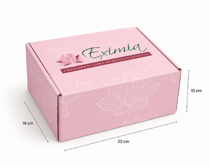 Embalagem para Envios Empastada (22 x 16 x 10cm) Personalizada
