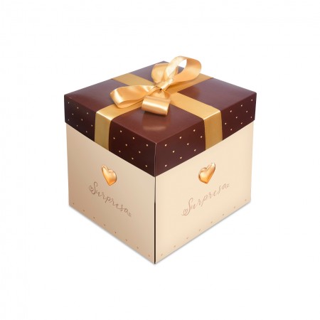 Embalagem Surpresa Marrom (23 x 23 x 23 xm) - 10 unidades