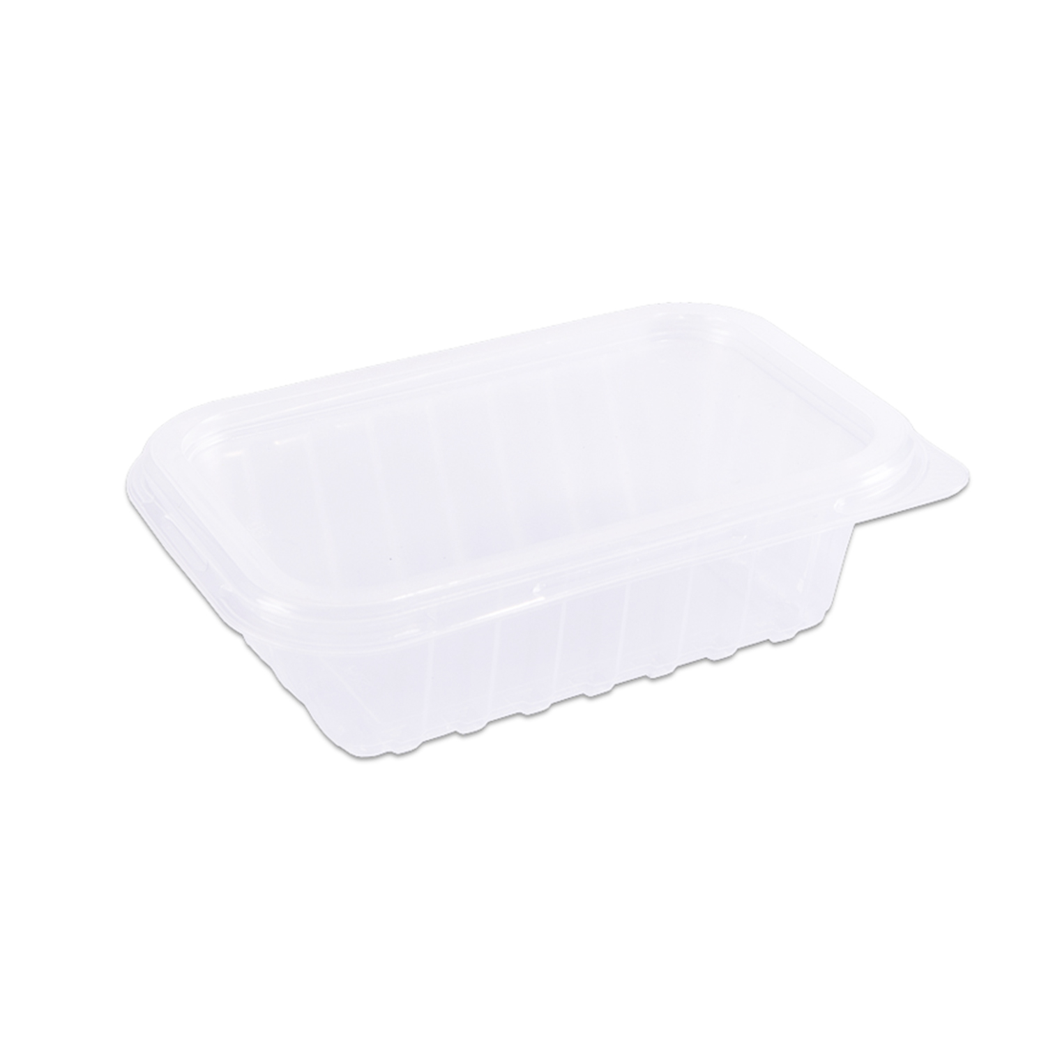 Pote Plástico Retangular c/ Tampa 250 ml Prafesta - 24 unidades
