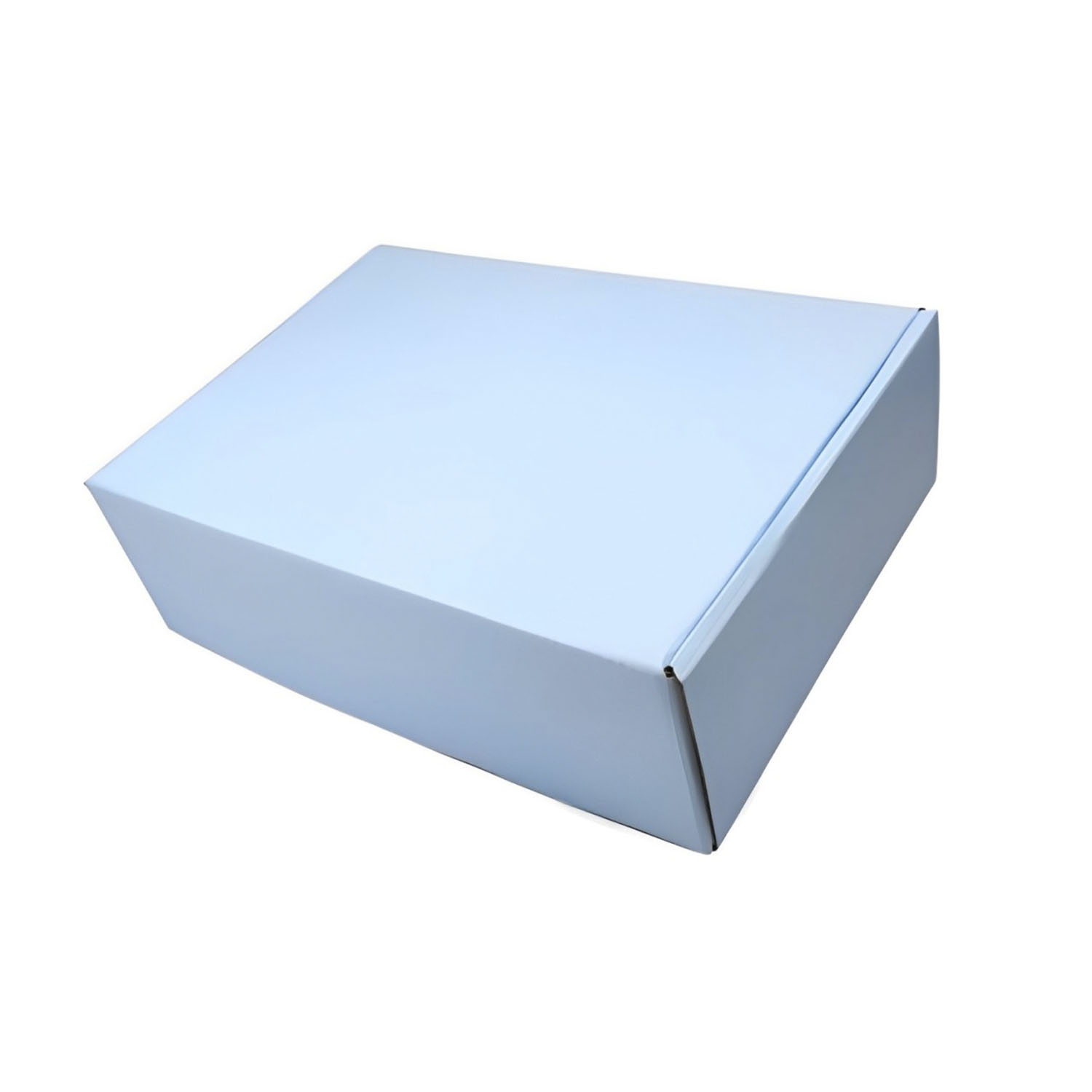 Envios Sedex (30 x 20,5 x 9 cm) Empastada Candy color - 50 Unidades