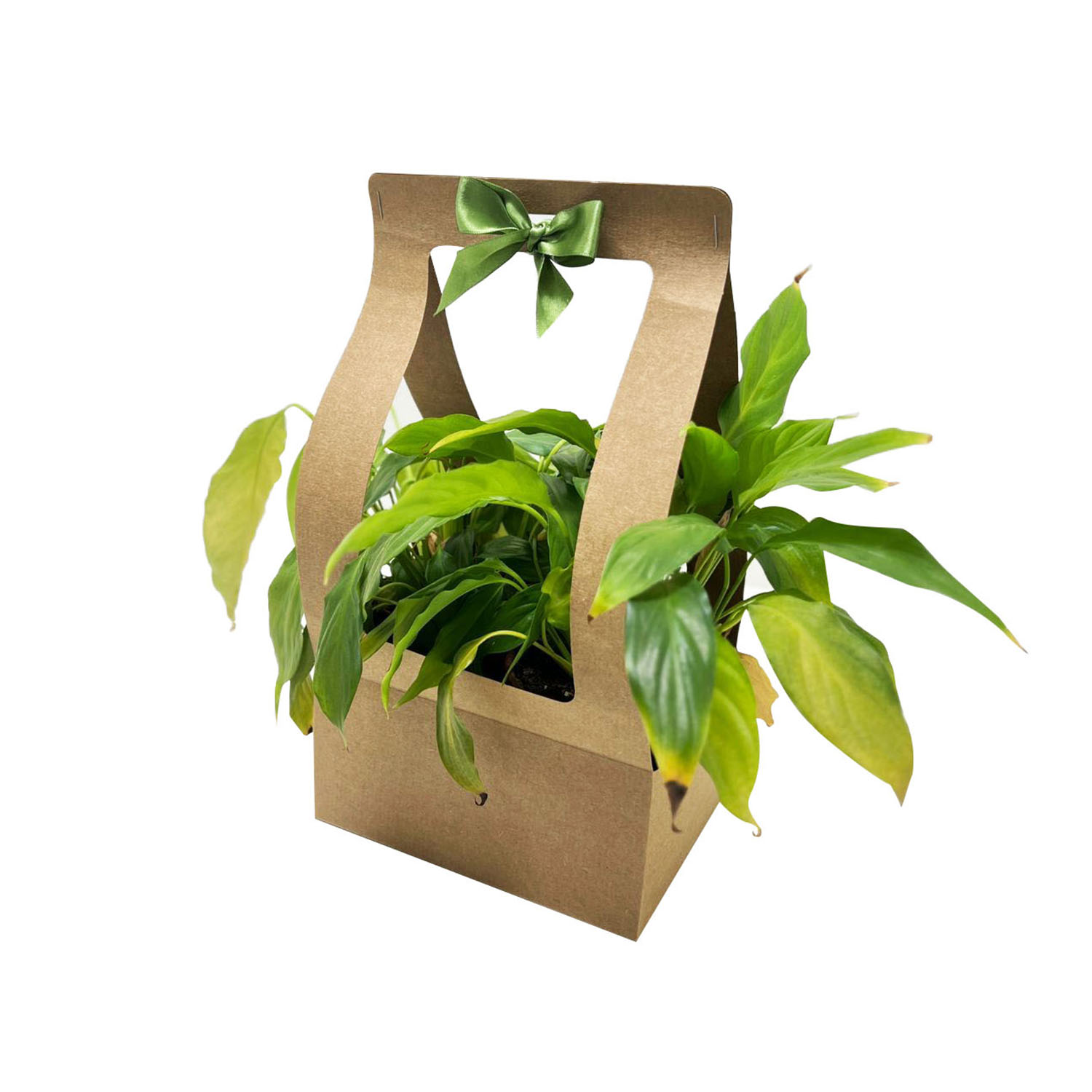 Suporte para ramos e  Flores Vazado - 50 unidades