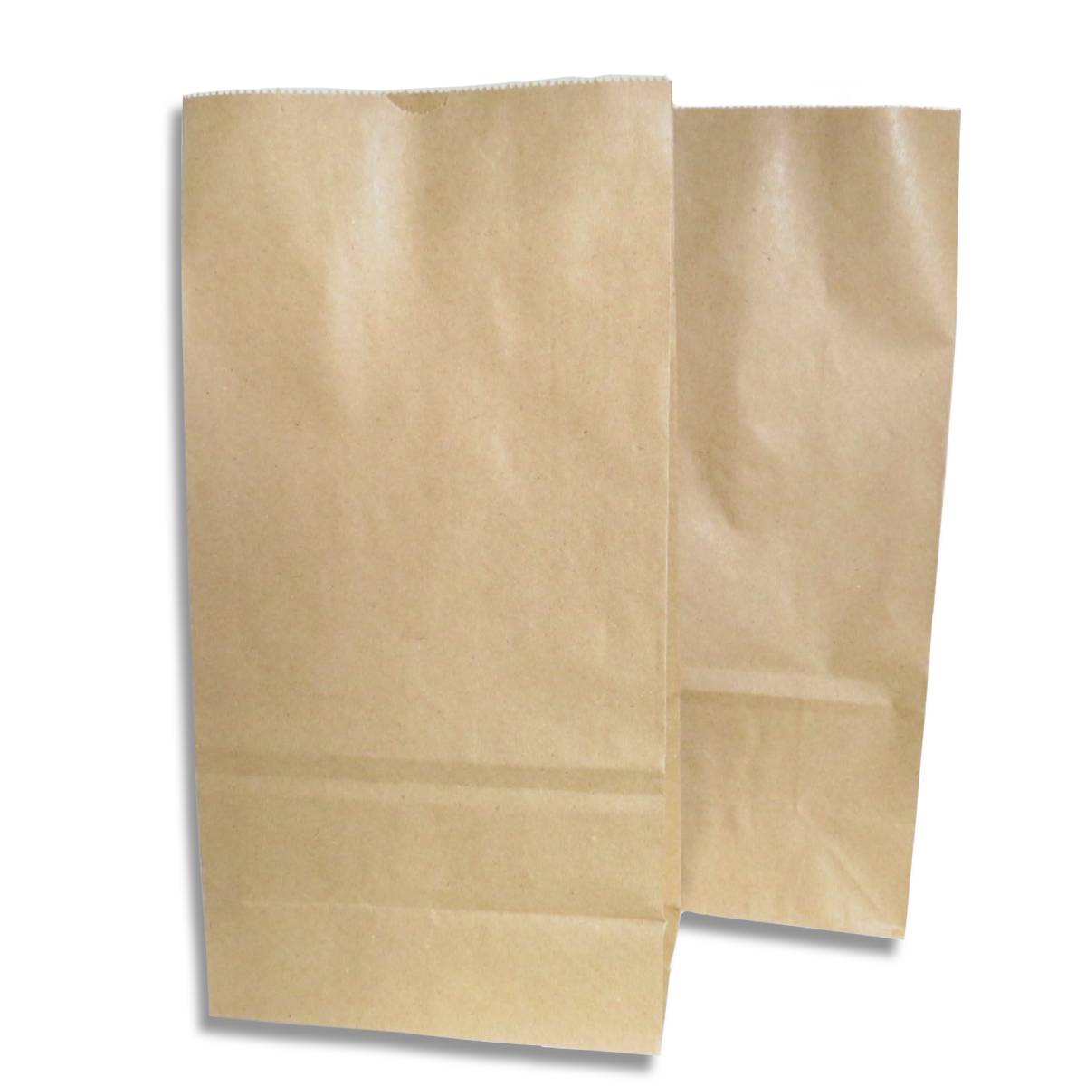 Saco Kraft Delivery N.1 (18 x 10 x 36 cm) Liso - 100 unidades