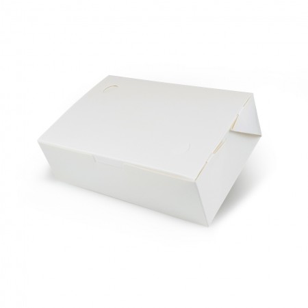 Embalagem Caixa Antivazamento  (20 x 13 x 6 cm)  Linha Branca- 100 unidades
