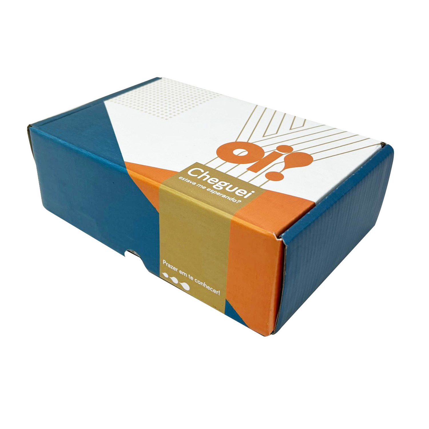 Caixa Correios / E-commerce Empastada  (22 x 14 x 7 cm) Oi Laranja /Azul - 50 unidades