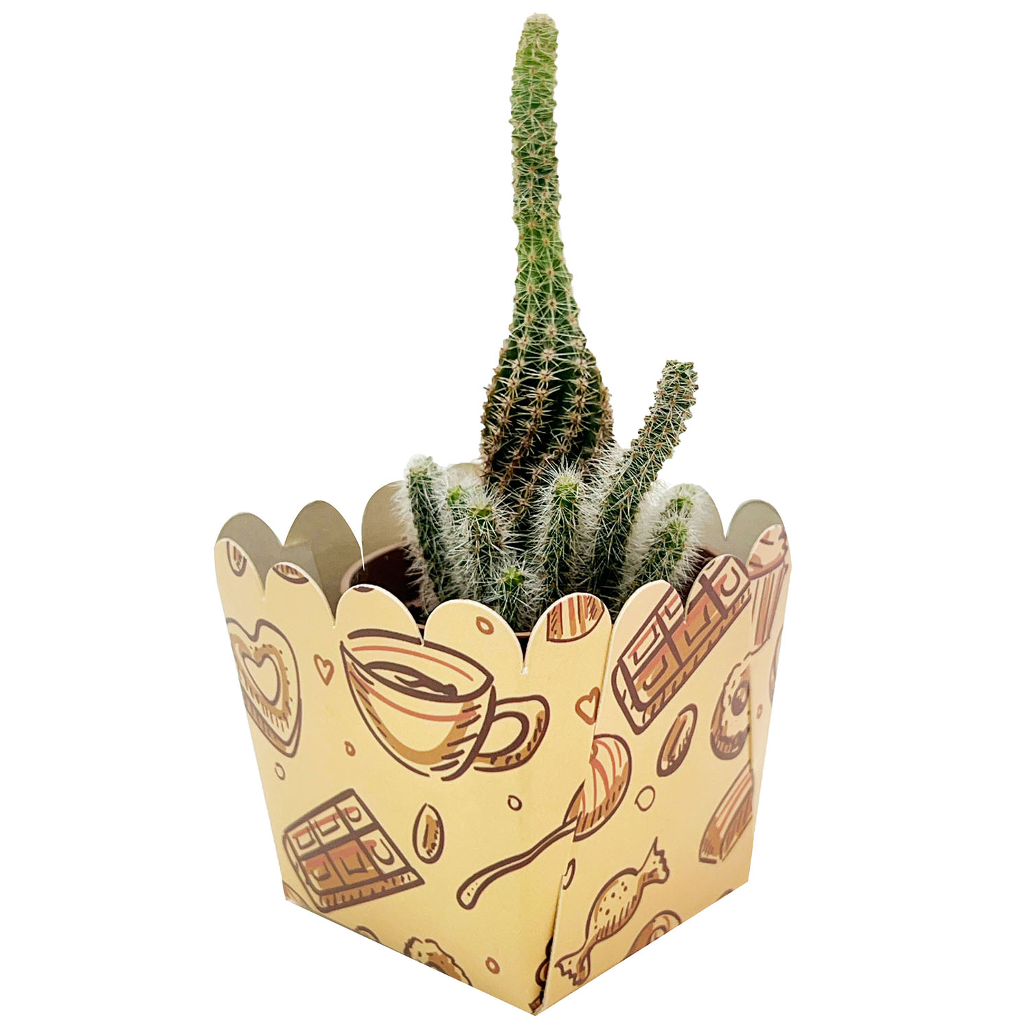Embalagem Forneável quadrada 70 g (5 x 5 cm) - 100 unidades