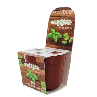 Kit de plantio personalizado para manjericão, inclui vaso pequeno de 5,5x5x10 cm, ideal para cultivo doméstico de ervas.