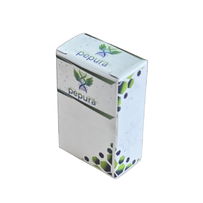 Embalagem para Cosméticos (7 x 2,5 x 4,5 cm) Personalizada