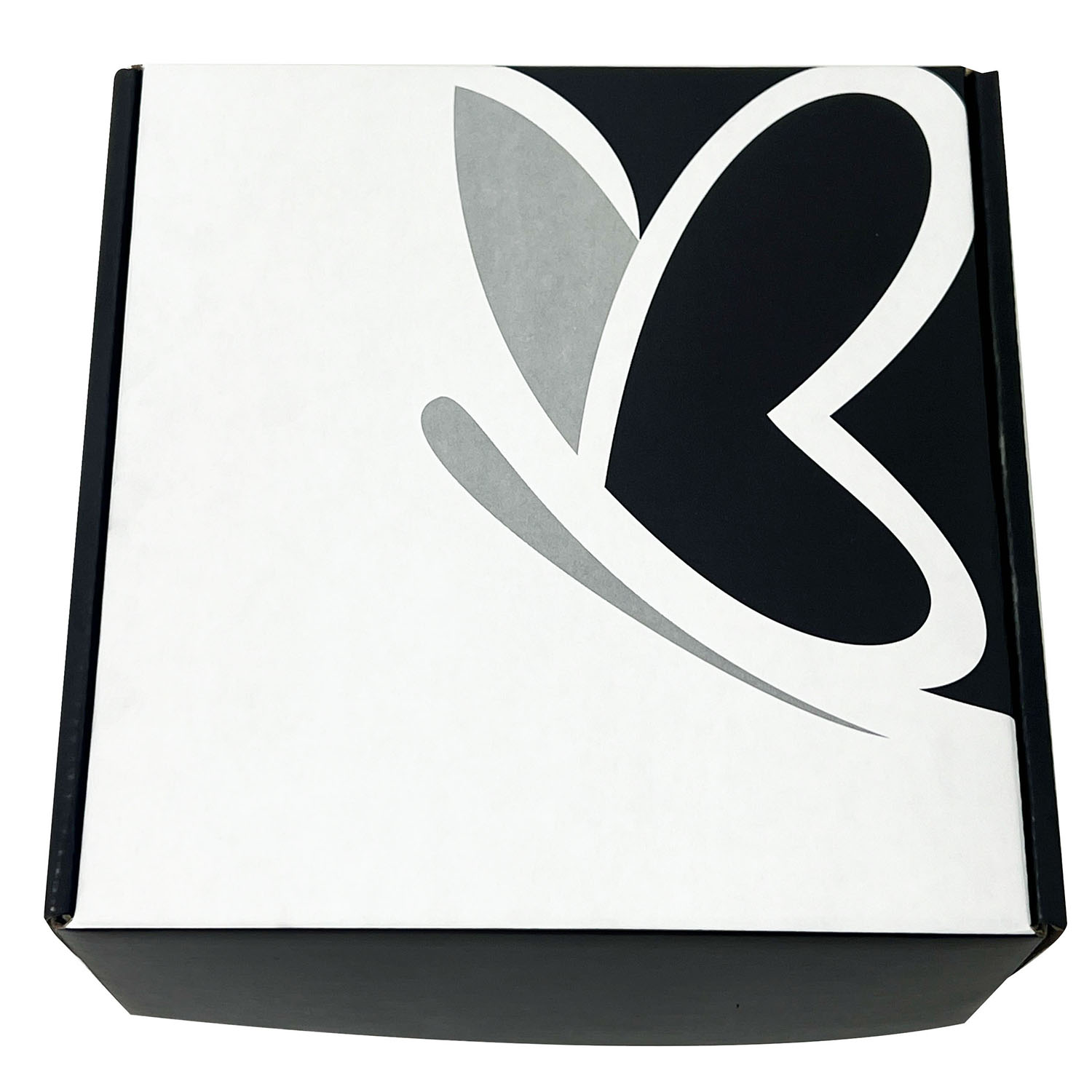 Caixa Correios / E-commerce Empastada (22 x 22 x 10 cm) Personalizada
