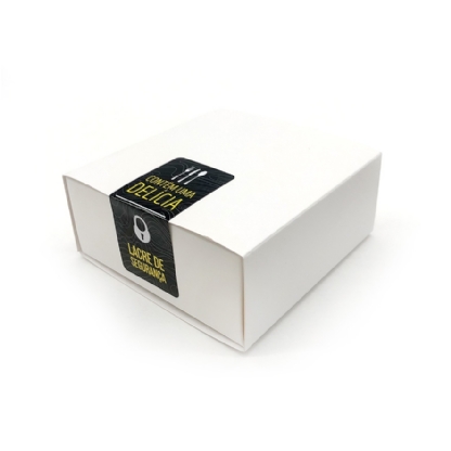 Lacre de Segurança Retangular Preta (3,5 x 7,8 cm) - 1000 unidades