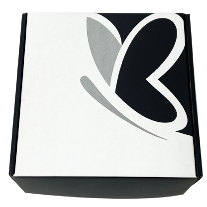 Caixa Correios / E-commerce Empastada (22 x 22 x 10 cm) Personalizada