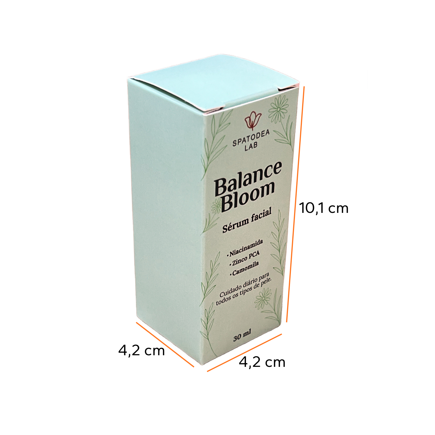 Embalagem para Cosméticos (4,2 x 4,2 x 10,1 cm) Personalizada