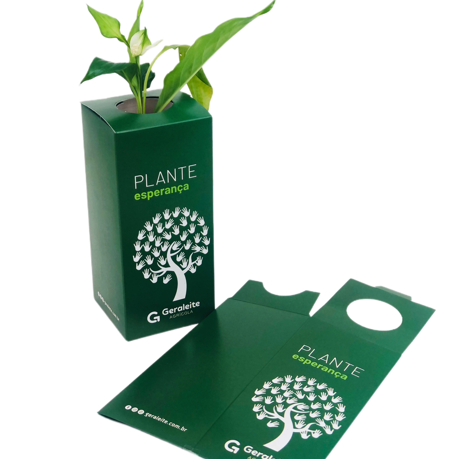 Embalagem Para Muda de Planta (8 x 8 x 18 cm) Personalizada