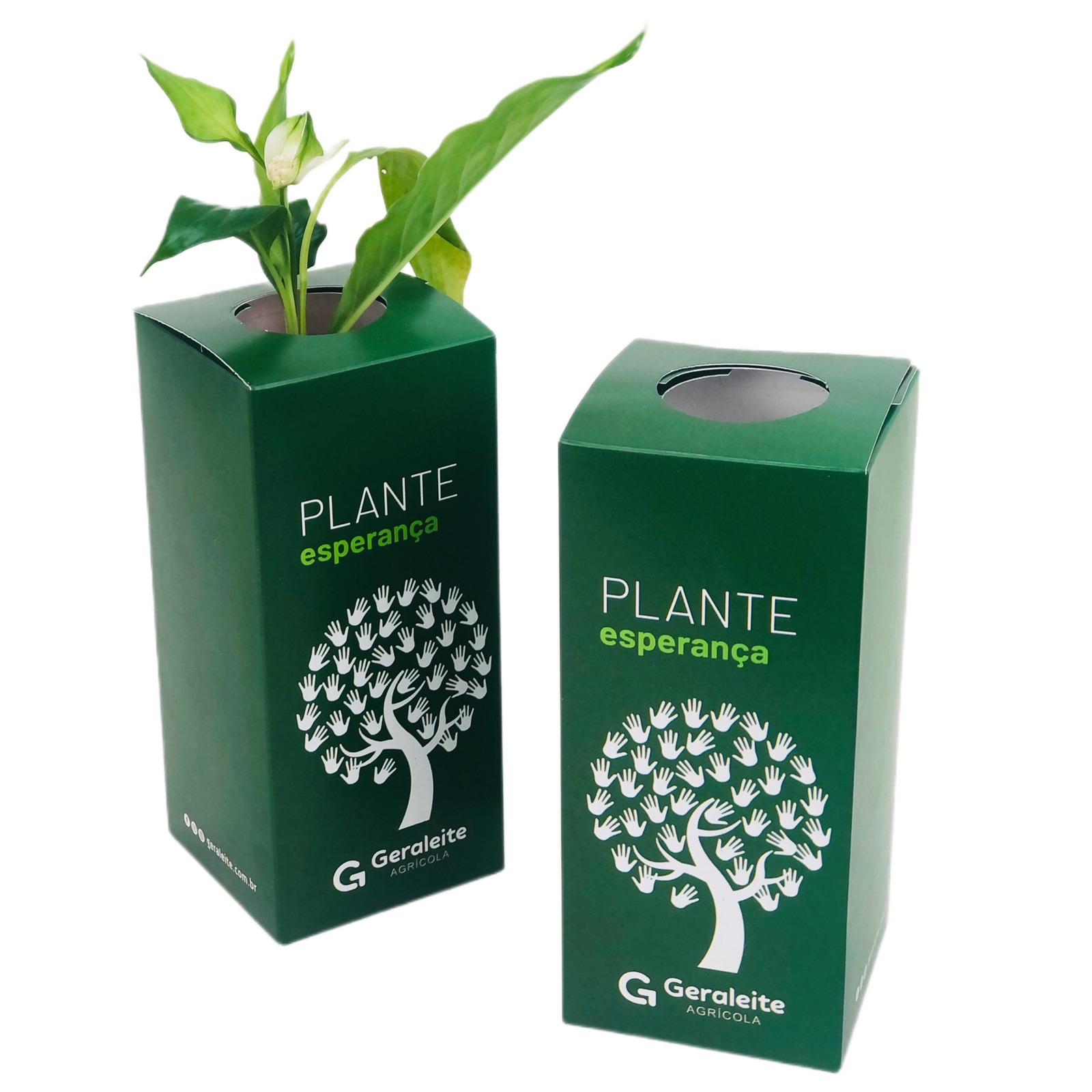Embalagem Para Muda de Planta (8 x 8 x 18 cm) Personalizada