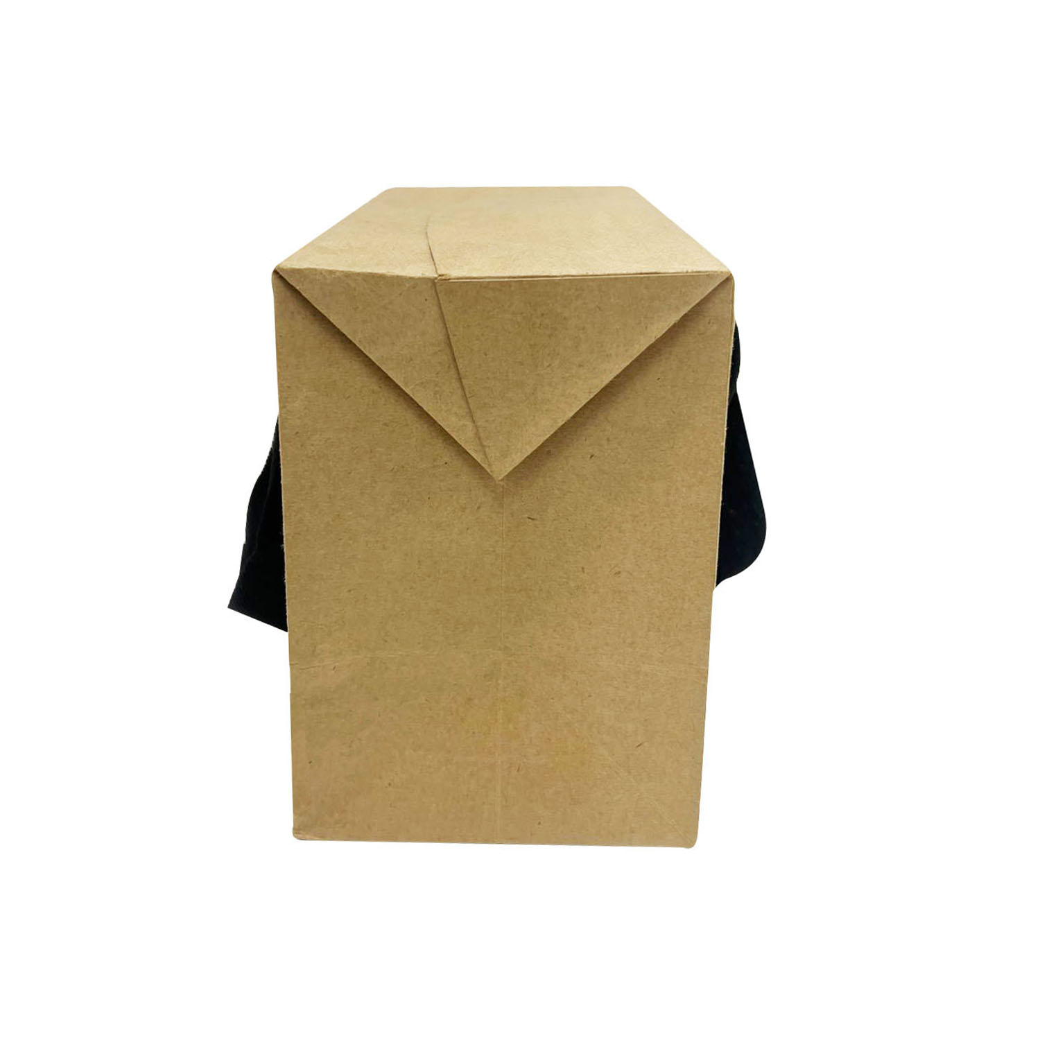 Caixa Sacola Kraft M (25 x 12 x 18,5 cm) - 50 unidades