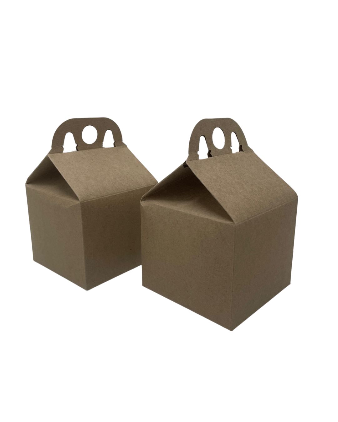 Maleta Kit Lanche delivery - 100 unidades