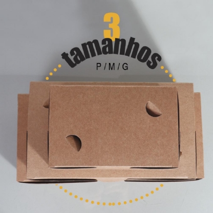 Embalagem Kraft Delivery c/ laminação Interna G (25,5 x 11 x 6 cm) c/ divisória - 100 unidades
