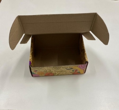 Caixa Correios / E-commerce Pequena Olá Cheguei (16,5 x 10,8 x 6,5 cm) - 50 unidades