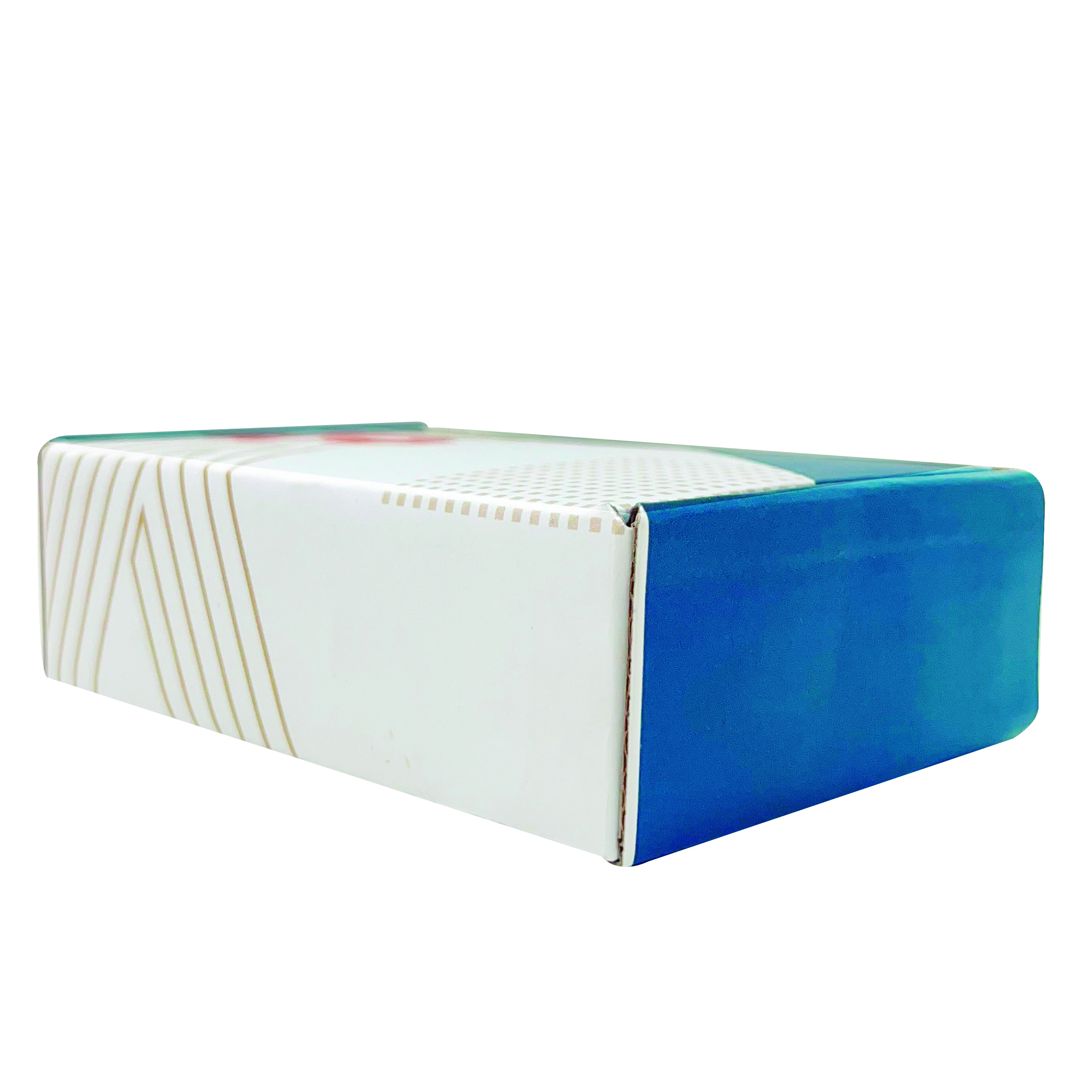 Caixa Correios / E-commerce Empastada (13 x 8,3 x 3,7 cm) Oi Laranja/Azul)- 50 unidades