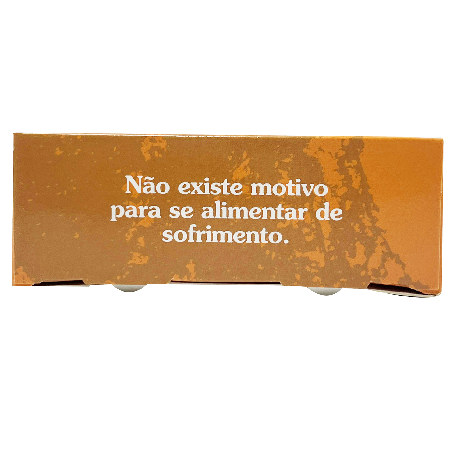 Embalagem Para Refrigeração (19 x 4 x 11 cm) Personalizada