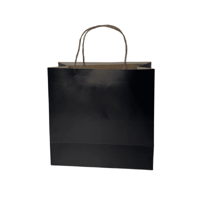 Sacola duplex preta de papel, elegante e resistente, medidas 21x10x20,5 cm, perfeita para presentes e produtos médios, pacote com 10 unidades.