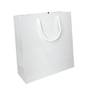 Sacola branca premium com plastificação, alças torcidas, medindo 21,5x8,5x23 cm, em conjunto de 10 unidades, ideal para transporte elegante.