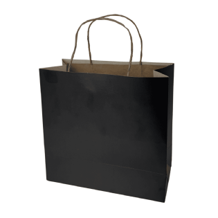 Sacola duplex preta, 21x10x20,5 cm, com alças reforçadas, perfeita para lojas e eventos, pacote de 10 unidades, ideal para personalização.
