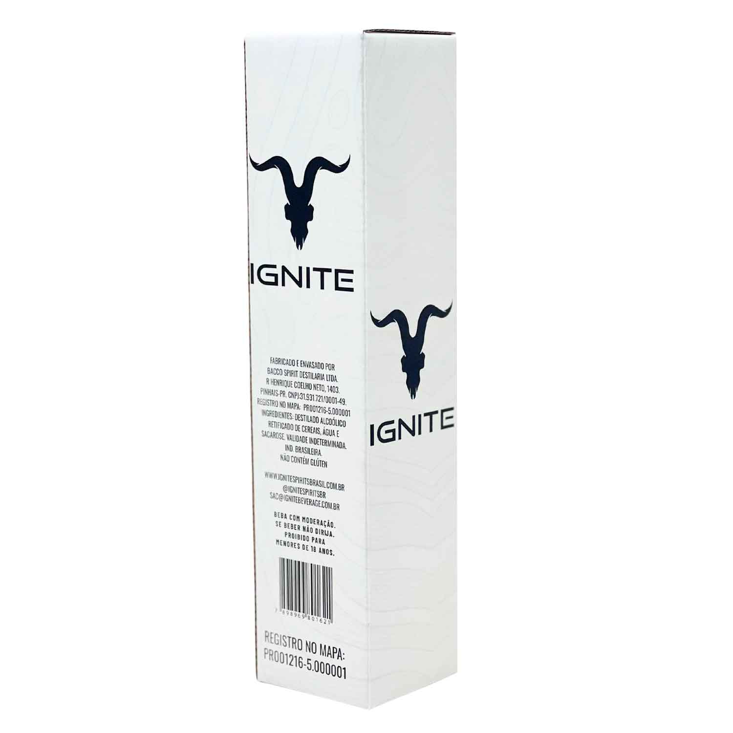 Embalagem Empastada para Garrafa de Vodka (8 x 8 x 35 cm) Personalizada