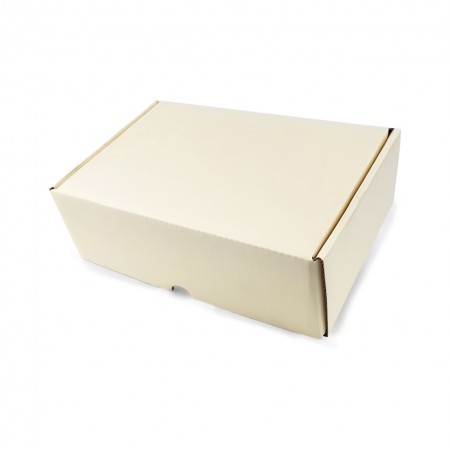 Caixa Envios Sedex (22 x 14 x 7 cm) Empastada Candy Color - 50 Unidades