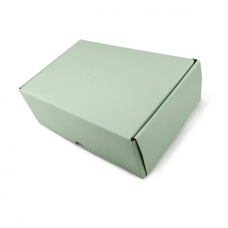 Caixa Envios Sedex (22 x 14 x 7 cm) Empastada Candy Color - 50 Unidades