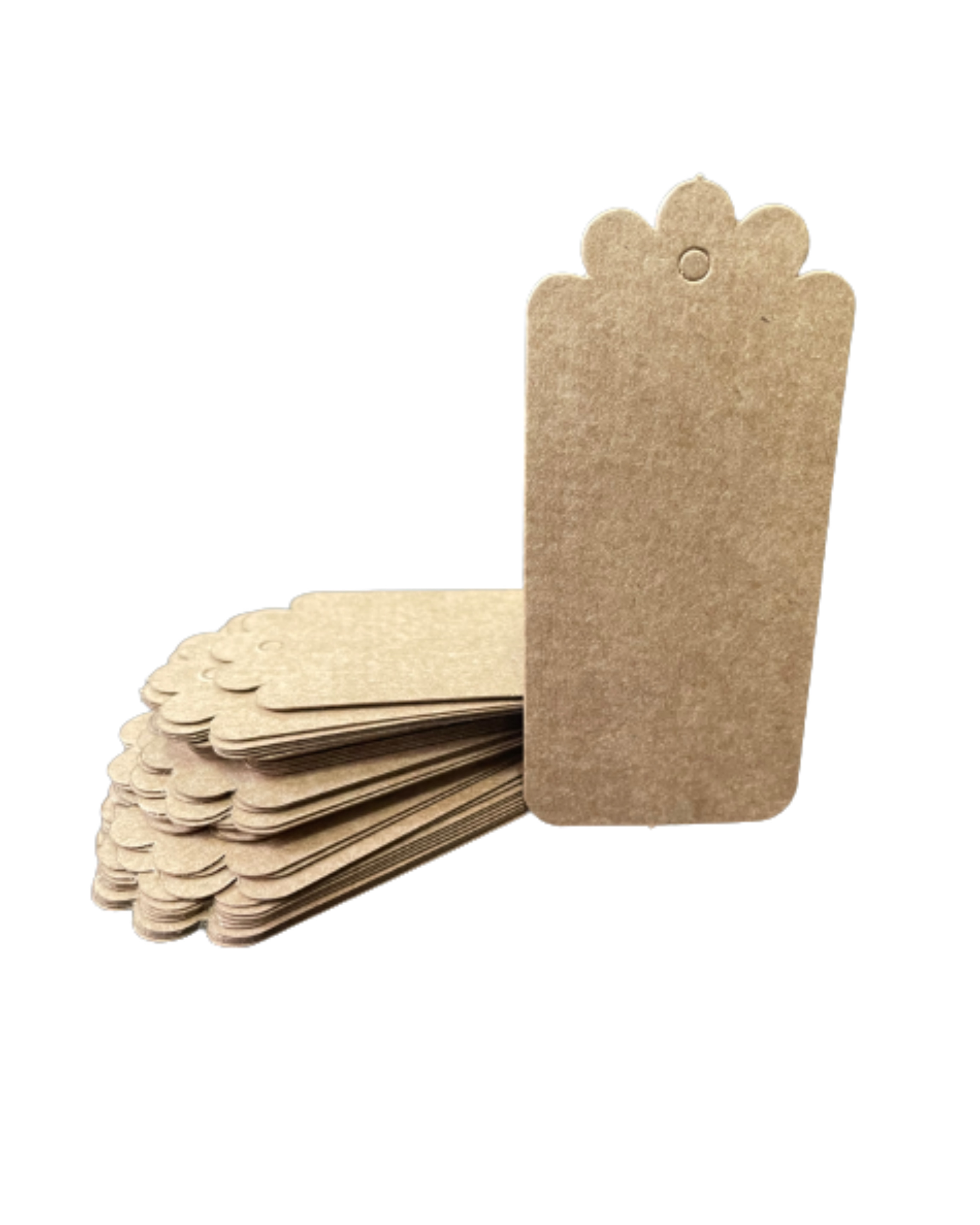 Tag (4,5 x 9,5 cm) retangular - 100 unidades