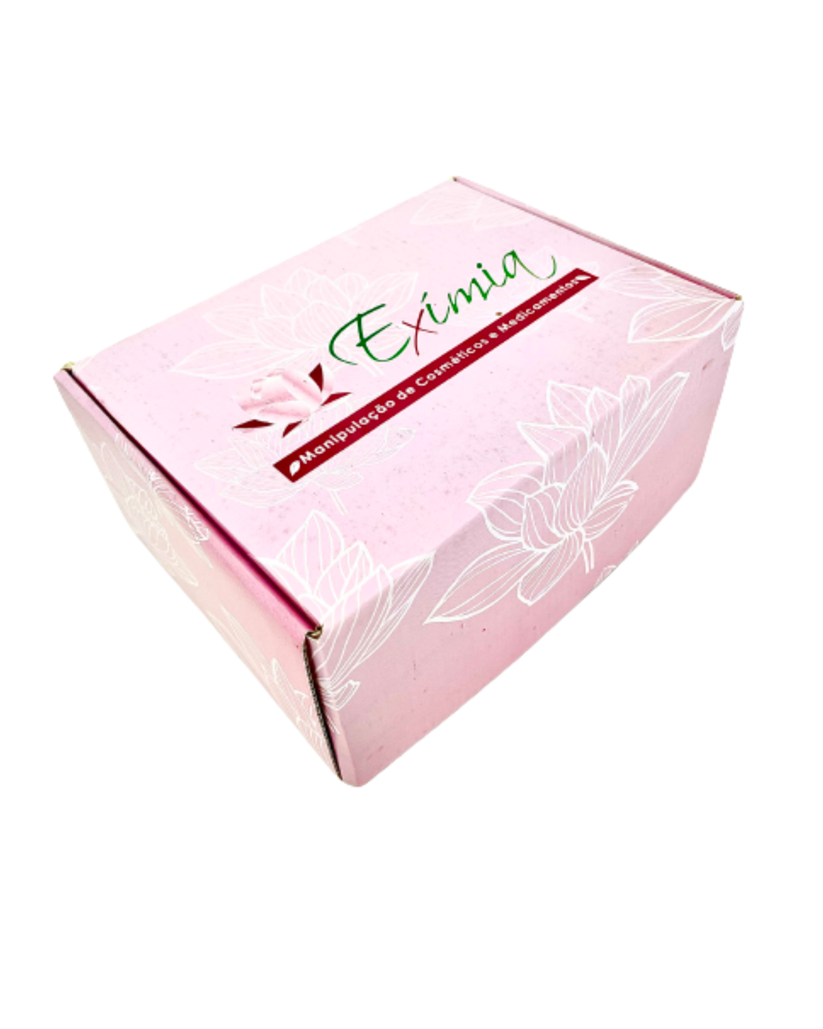 Embalagem para Envios Empastada (22 x 16 x 10cm) Personalizada