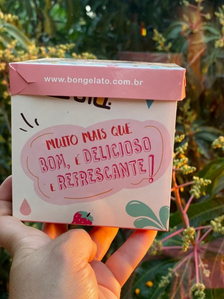 Embalagem para Açai, Sorvete (11 x 11 x 11cm ) Personalizada
