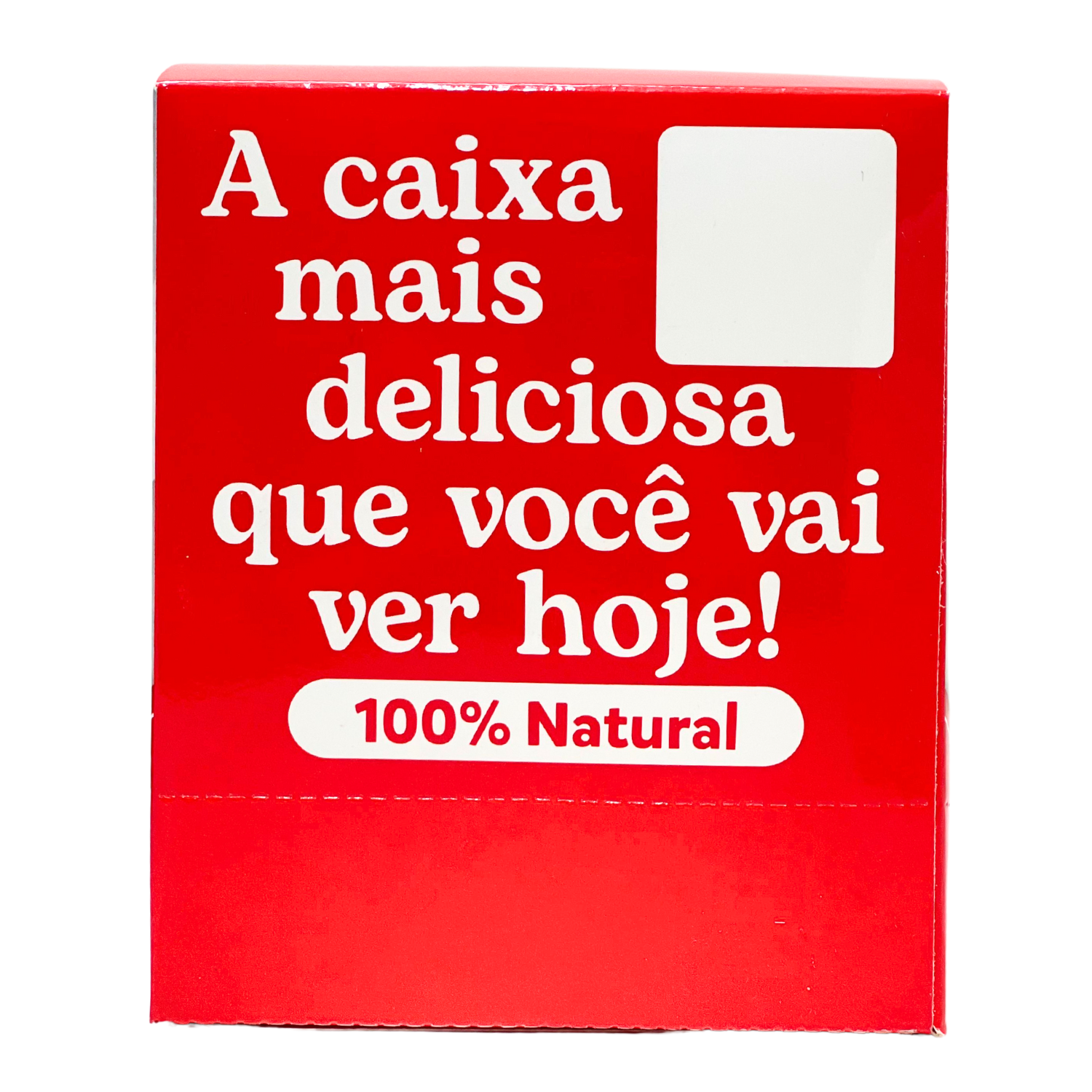 Embalagem para Geladinho c/ Laminação interna e externa (18 x 10 x 12 cm) Personalizado