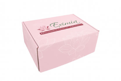 Embalagem para Envios Empastada (22 x 16 x 10cm) Personalizada