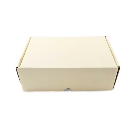 Caixa Envios Sedex (22 x 14 x 7 cm) Empastada Candy Color - 50 Unidades