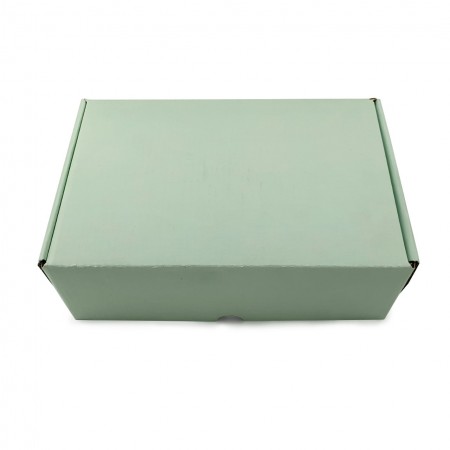 Caixa Envios Sedex (22 x 14 x 7 cm) Empastada Candy Color - 50 Unidades