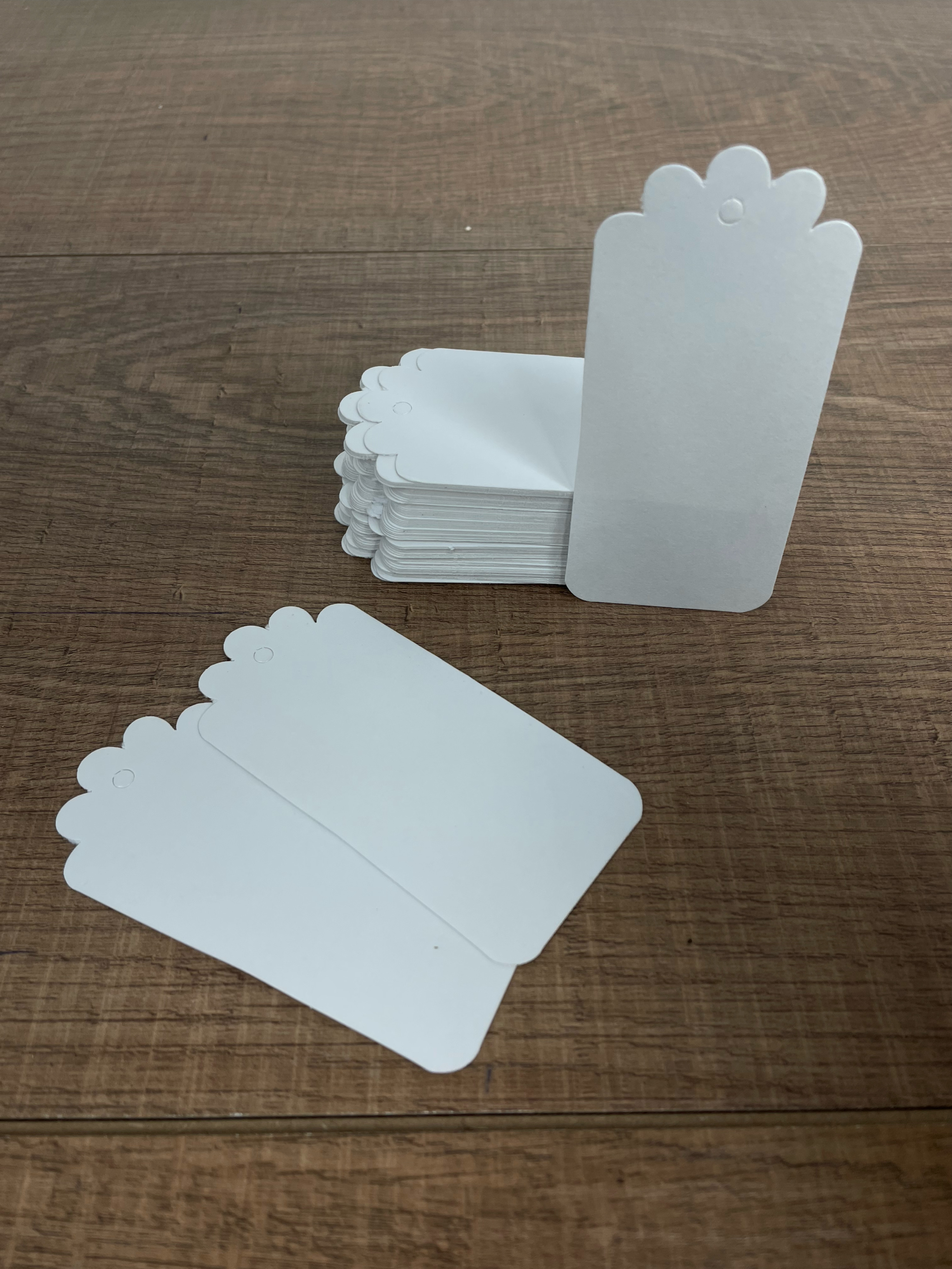 Tag (4,5 x 9,5 cm) retangular - 100 unidades