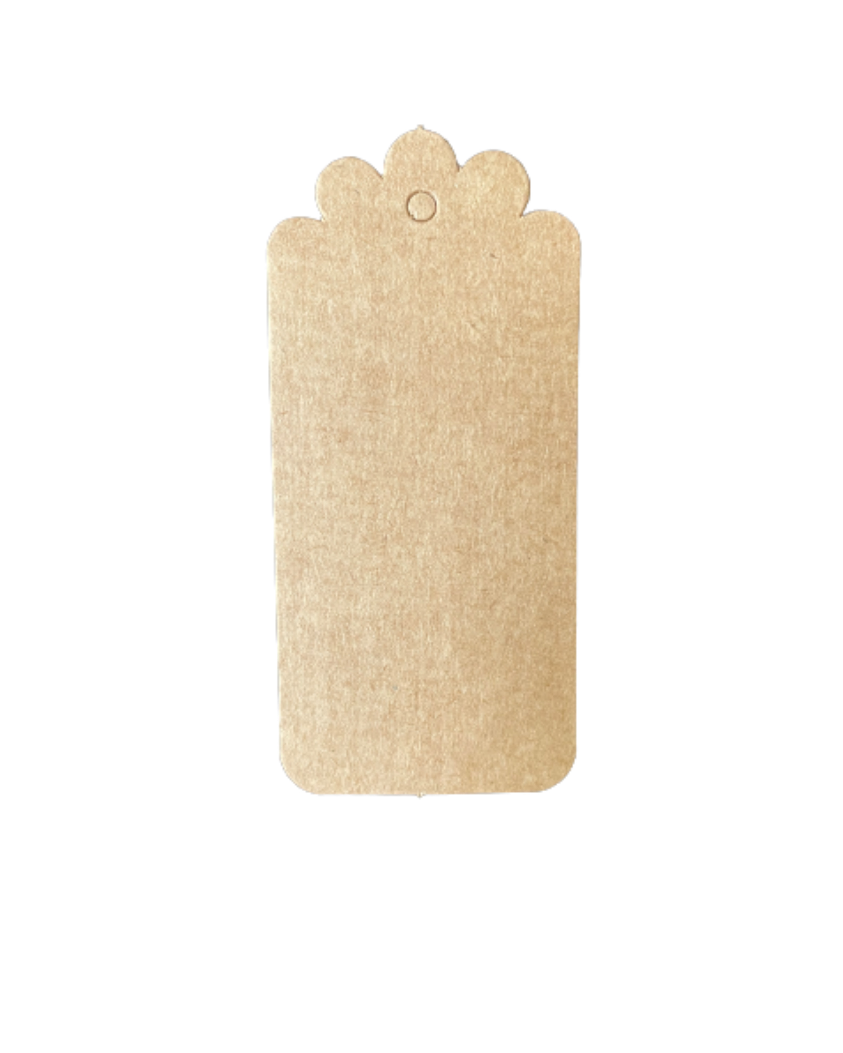 Tag (4,5 x 9,5 cm) retangular - 100 unidades