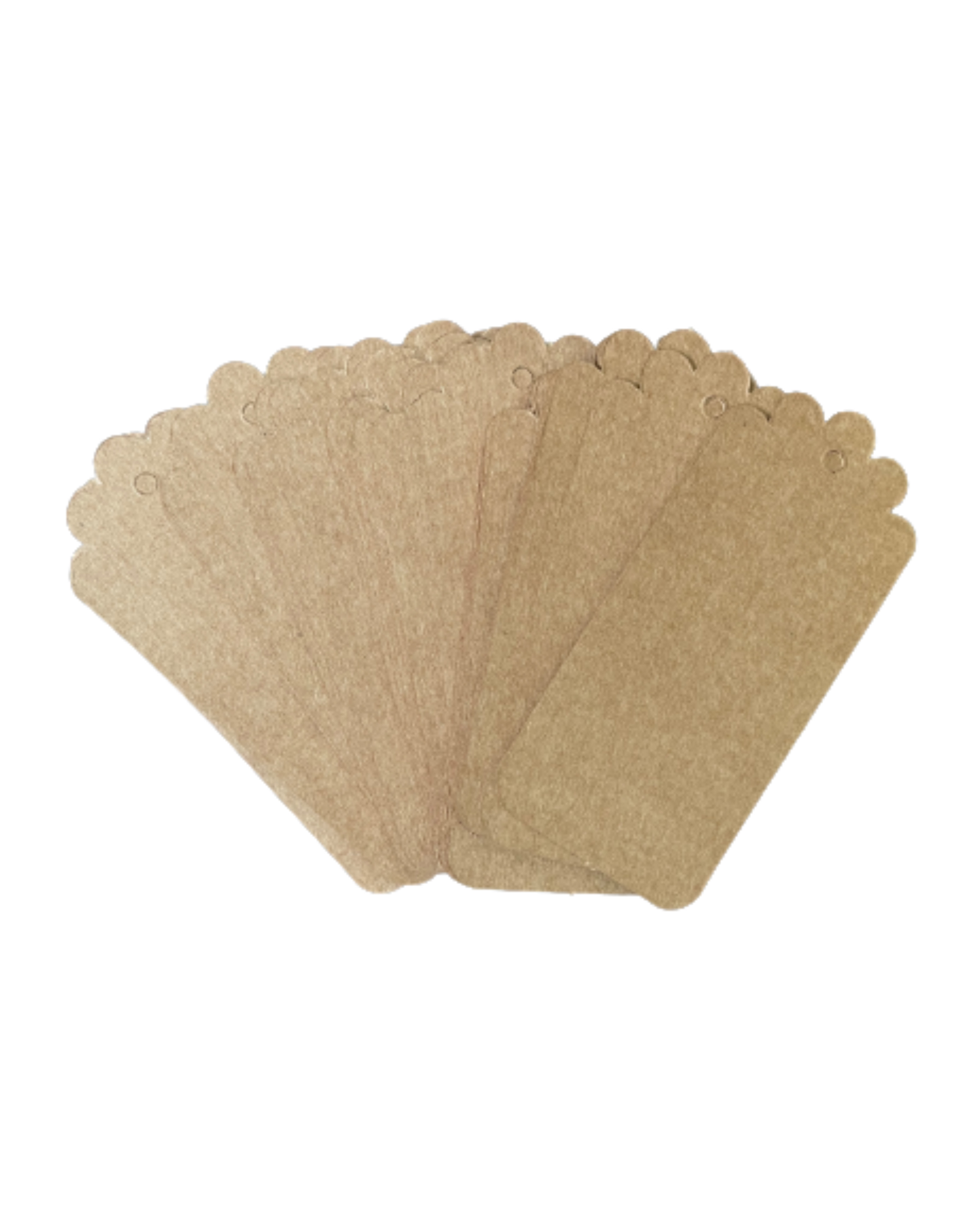 Tag (4,5 x 9,5 cm) retangular - 100 unidades